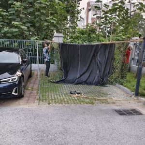 重拳整治毁绿占绿乱象 恢复小区生态宜居环境