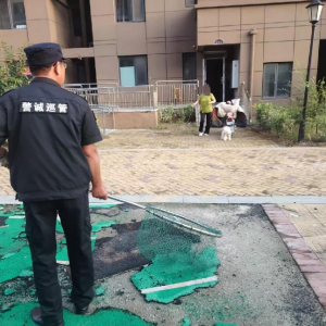 整治不文明养犬突出问题 共筑和谐小区环境