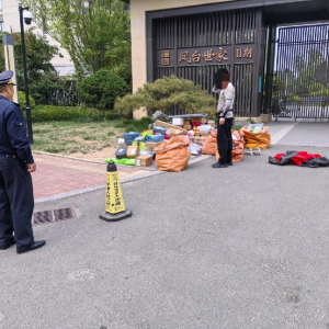党建引领整治占绿毁绿乱象 守护辖区生态民生底色