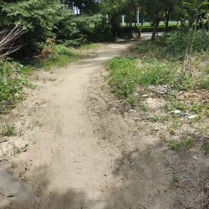 同和中队巡查发现门前绿化带遭人为破坏
