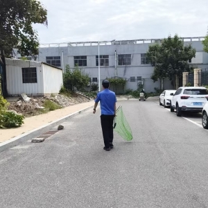 平度市东阁街道执法中队 排查流浪犬无死角 筑牢小区安全防线 ...