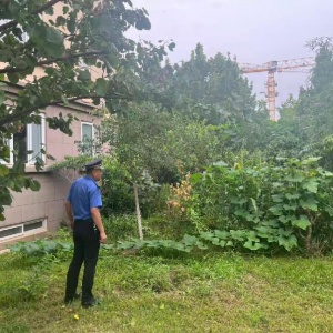 规范小区绿化秩序 凤台执法中队严查占用公共绿地种菜行为