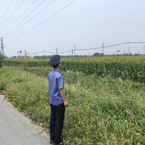 同和中队：“信用”严守耕地红线护牢“饭碗田”