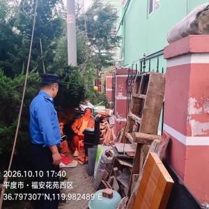 平度市东阁街道执法中队 整治占绿毁绿乱象 守护辖区生态绿意 ...