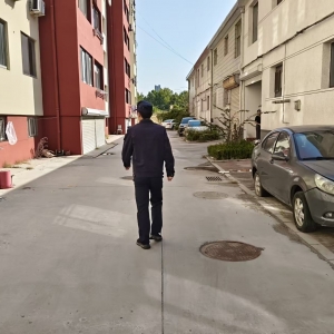 平度市东阁街道执法中队 整治流浪犬隐患 守护辖区人居安全